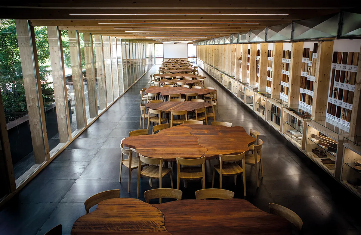 Riva Center, a multifunctional space
